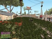 Abandon Los Santos